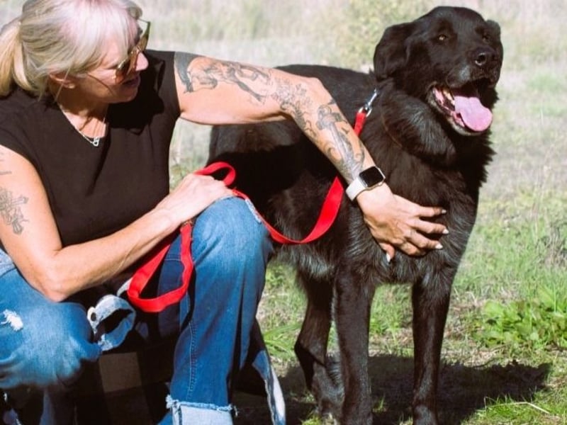 Mike – ein Goldschatz