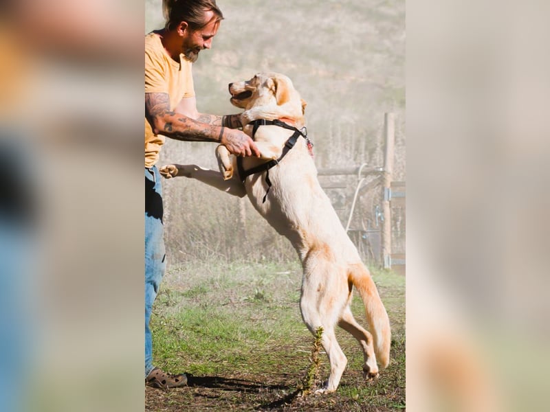 Doya – ein großer Schatz