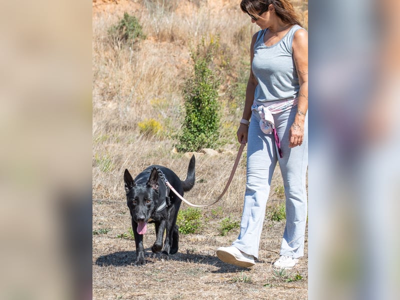 Luke – ein prima Kumpel