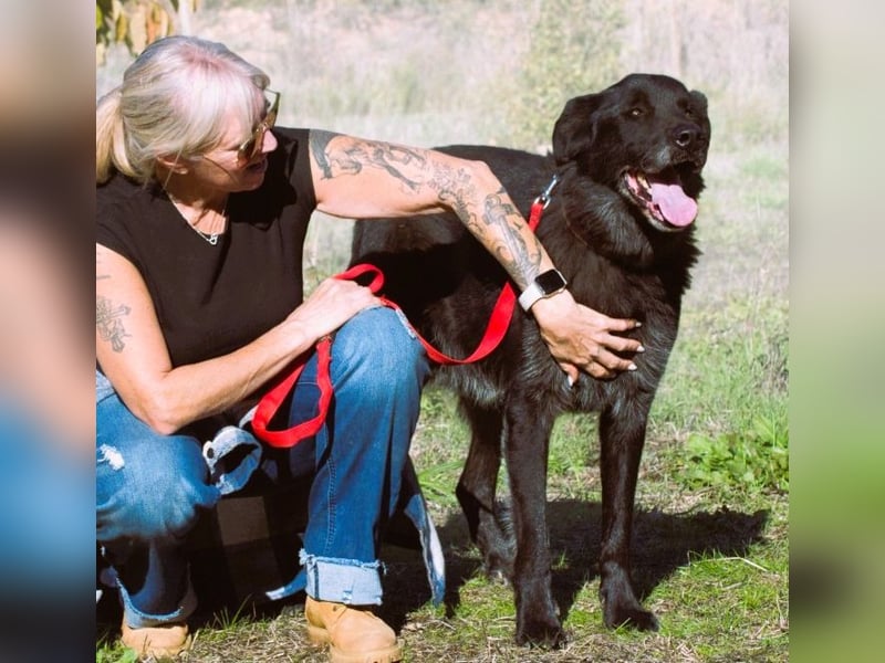 Mike – ein Goldschatz