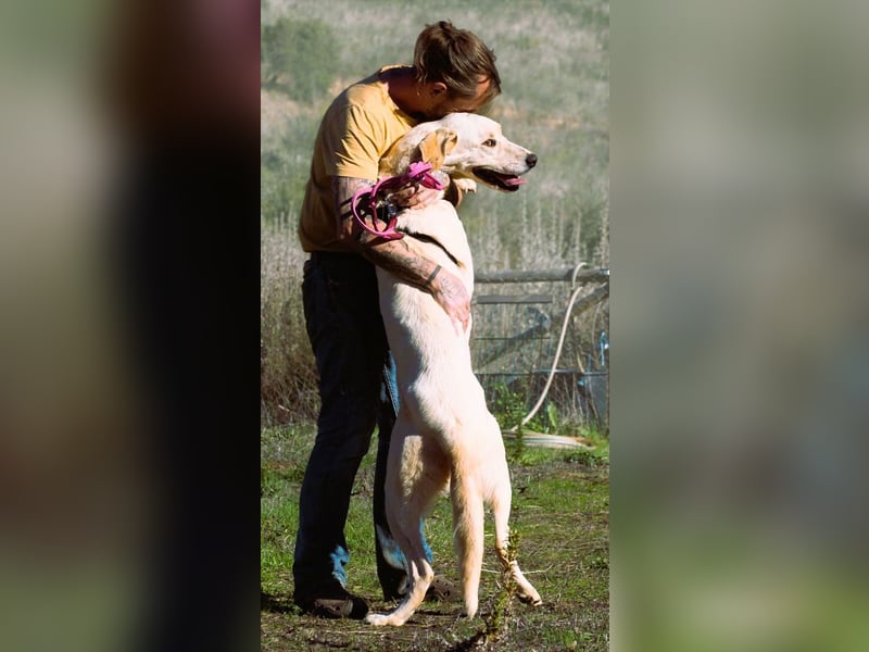 Doya – ein großer Schatz