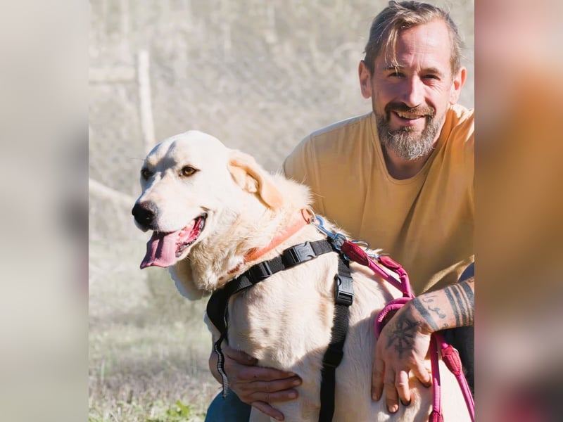 Doya – ein großer Schatz