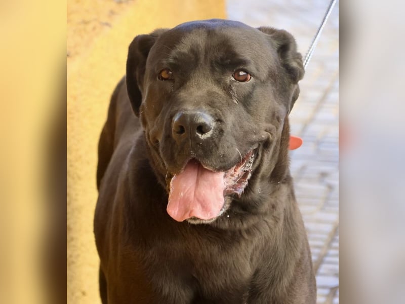 Xena - zutraulich, verschmust und lernwillig