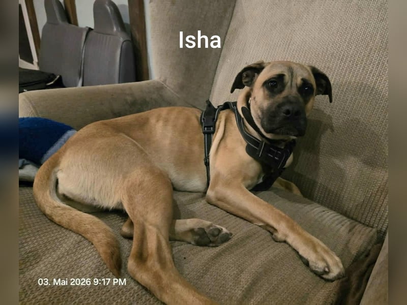 Zauberhaftes Riesenbaby Isha…….