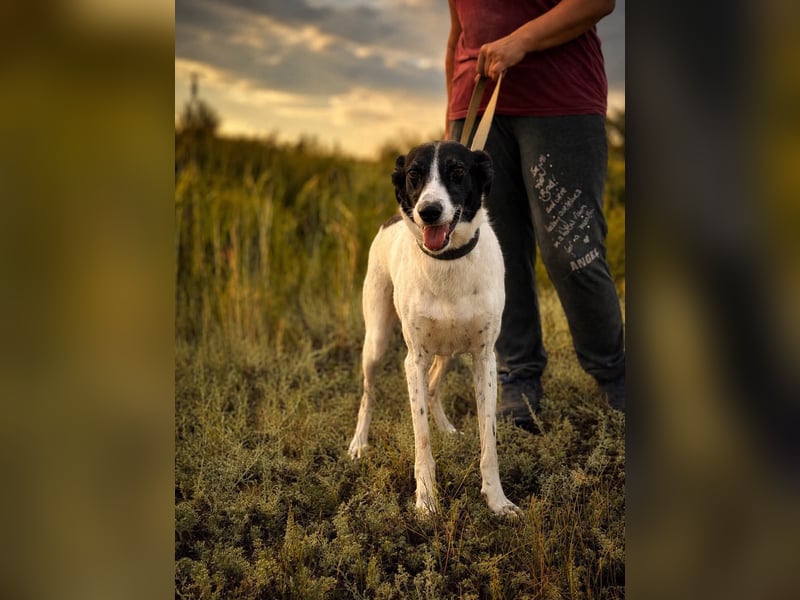 Fröhliche Katja sucht ihre Familie
