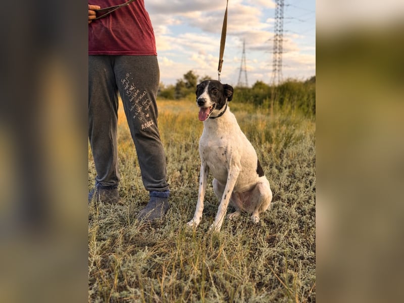 Fröhliche Katja sucht ihre Familie