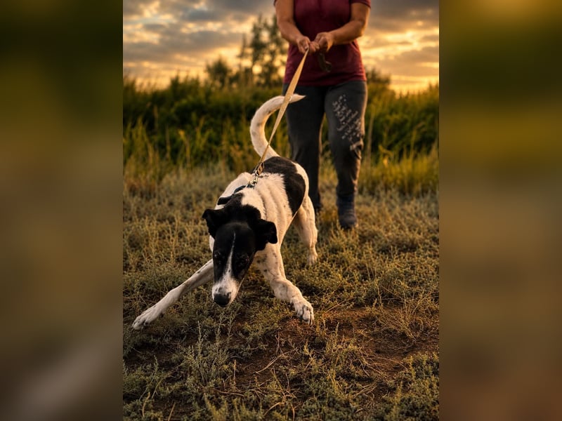 Fröhliche Katja sucht ihre Familie