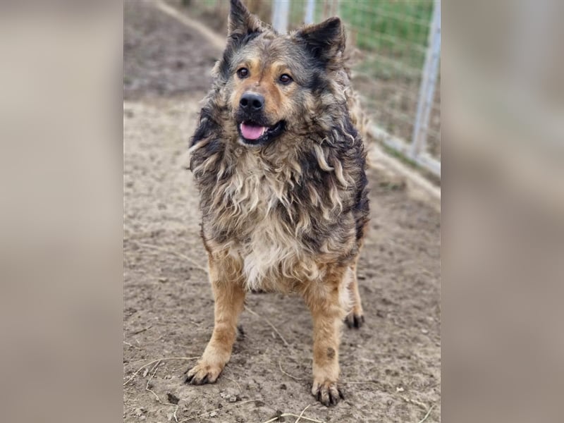 Medo ein Menschenfreund