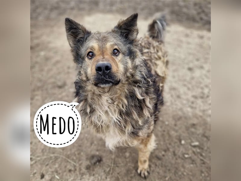 Medo ein Menschenfreund