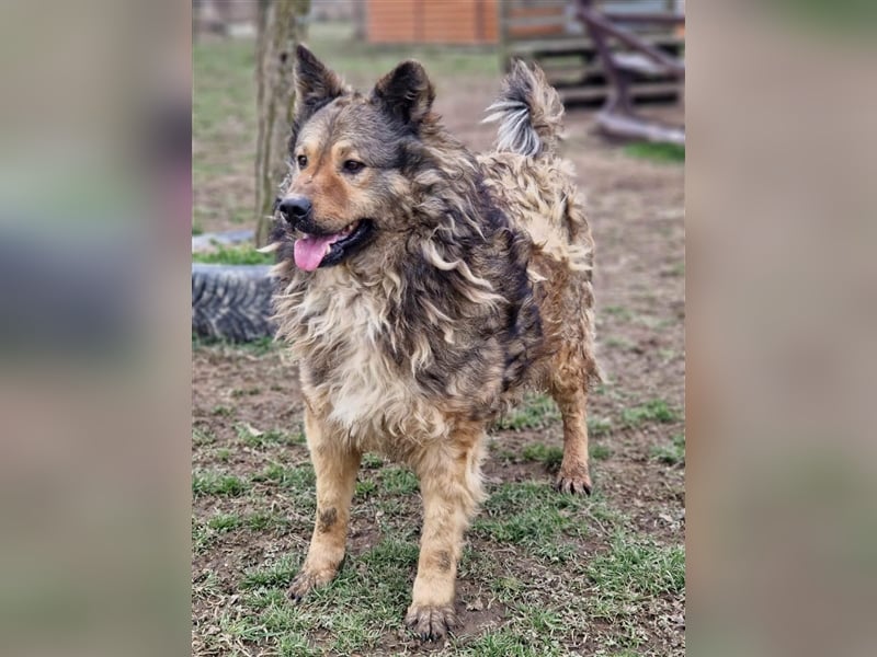 Medo ein Menschenfreund