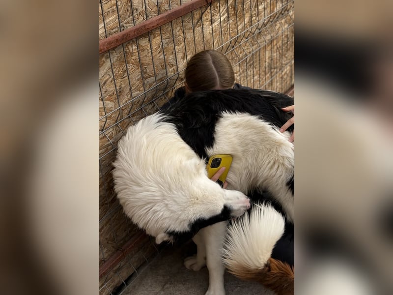 Oreo ist unsere Knutschkugel