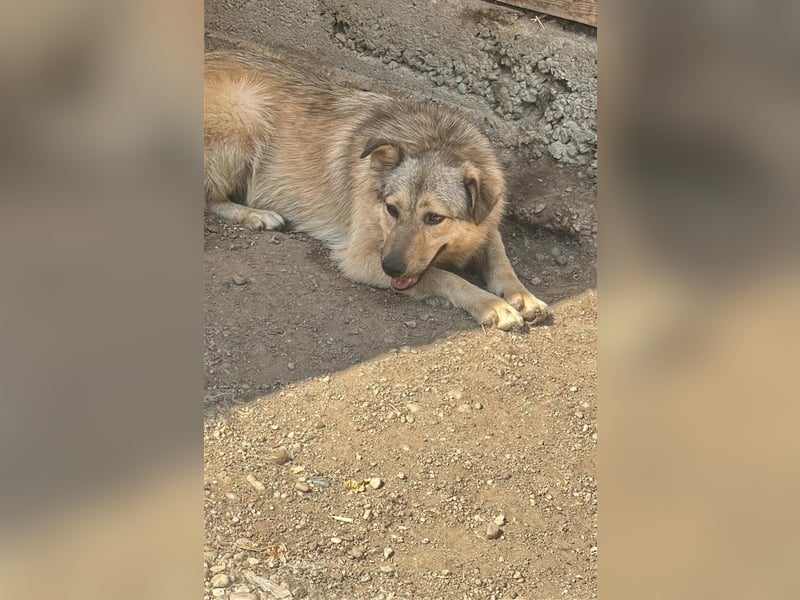 Donna - seit vier Jahren wartet sie auf ihr Glück
