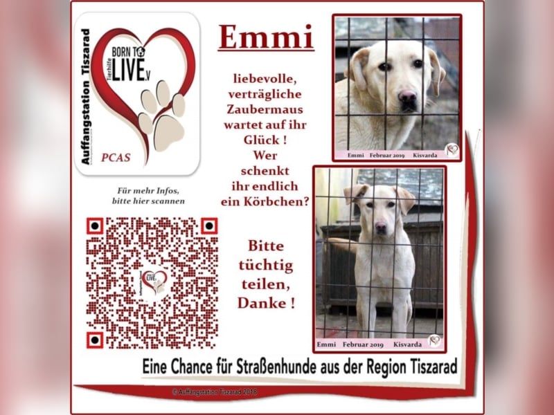 Emmi