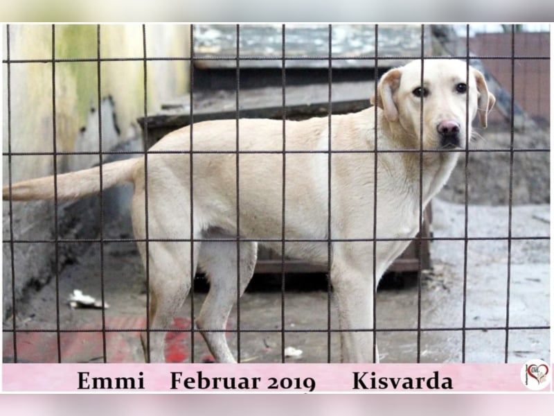 Emmi