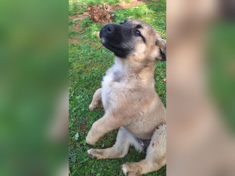 Polina - zum Glück rechtzeitig gefunden und gerettet