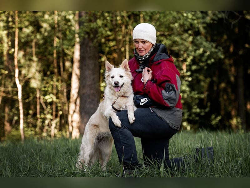 BELKA, geb. ca. 03/2019, blickt direkt in dein Herz