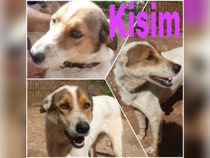 Mama Kizim sucht ihre Familie