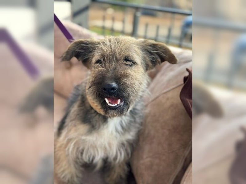 Emma, ein Schätzchen auf der Suche nach dem Glück