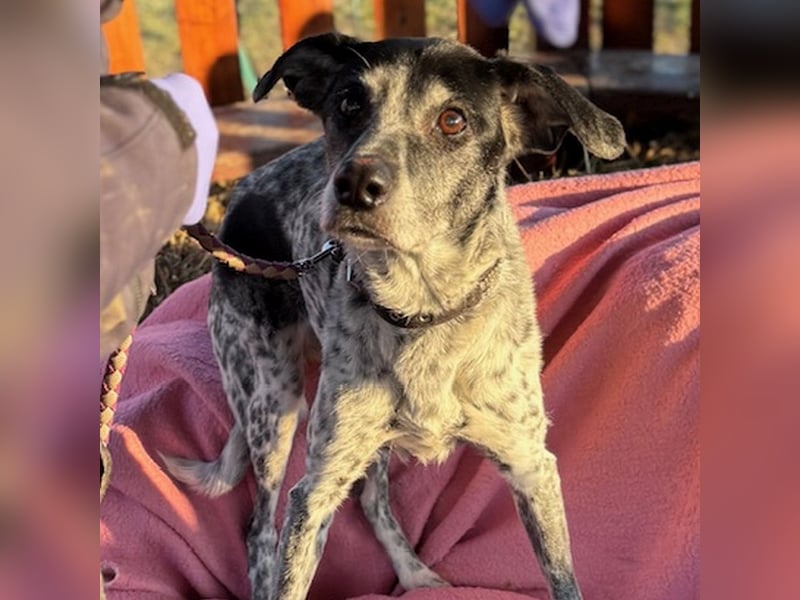 liebenswerte Peggy