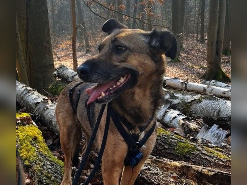 Hübsche Tilda sucht ihre Familie
