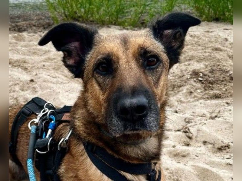 Hübsche Tilda sucht ihre Familie