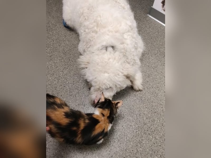 Molda & Tasa