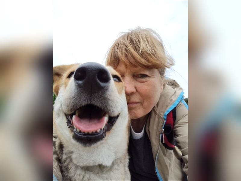 Bailey - für Hundekenner