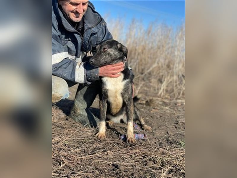 Cami, unsere flotte Biene sucht aktives Zuhause