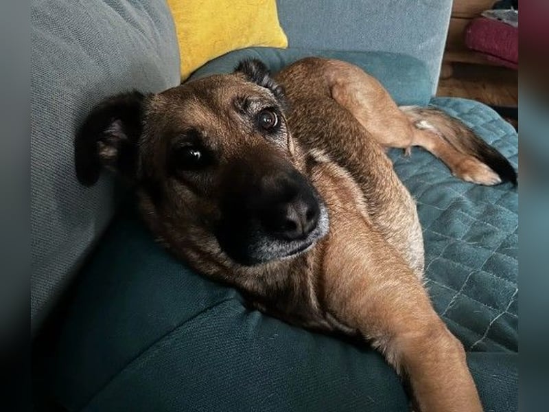 Hübsche Tilda sucht ihre Familie