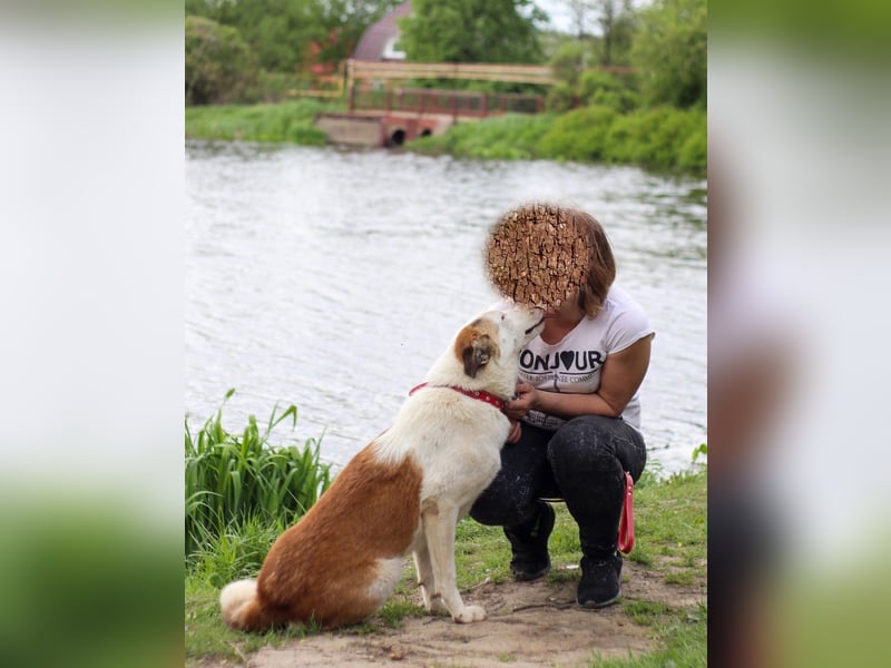 kinderliebe Ashley sucht ihre Familie