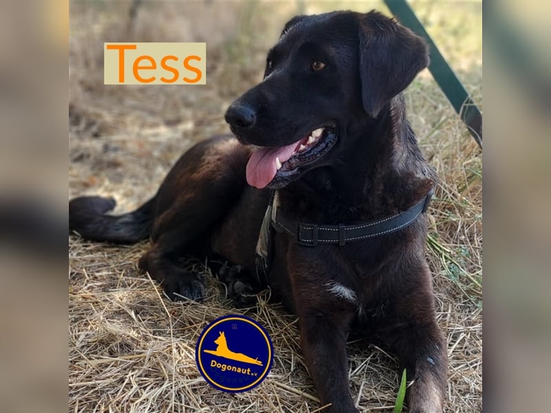 Die wunderbare TESS sucht ihre Menschen