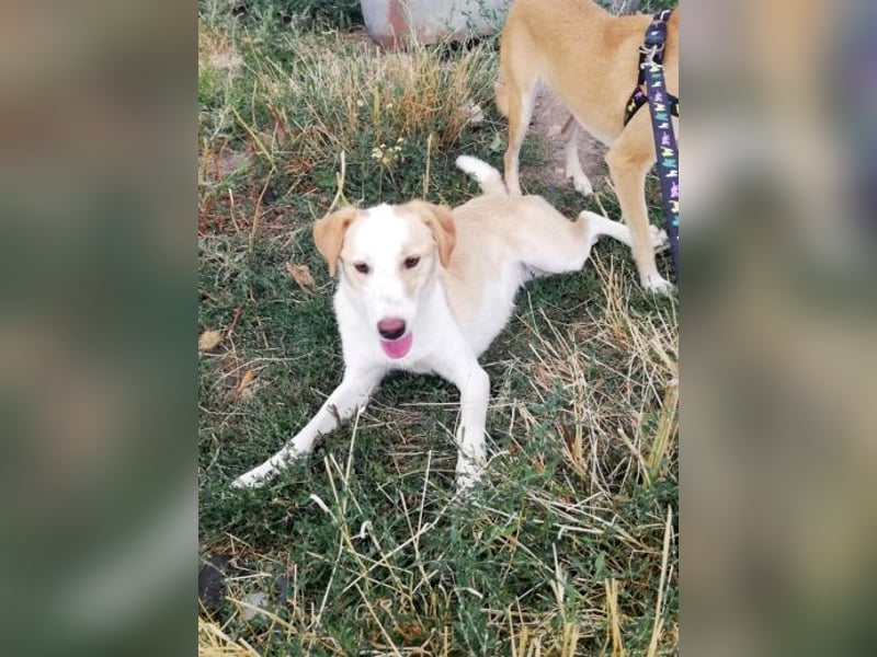 Tilly, freundlich und sanft