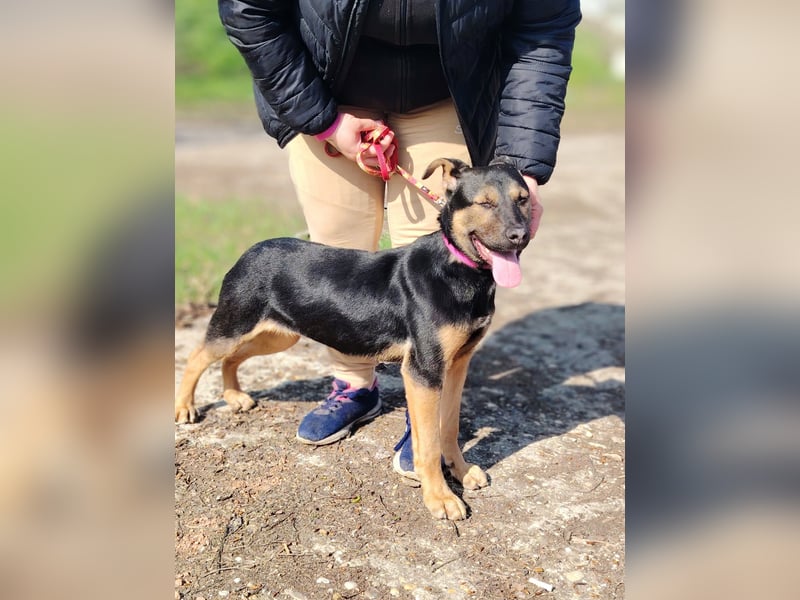 Wer verliebt sich in die pfiffige Lola ?