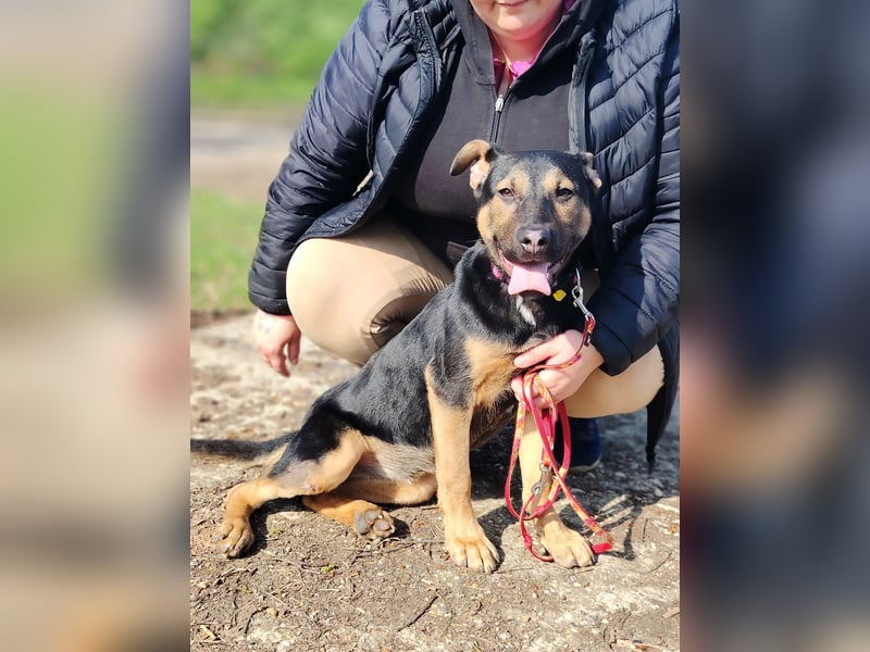 Wer verliebt sich in die pfiffige Lola ?