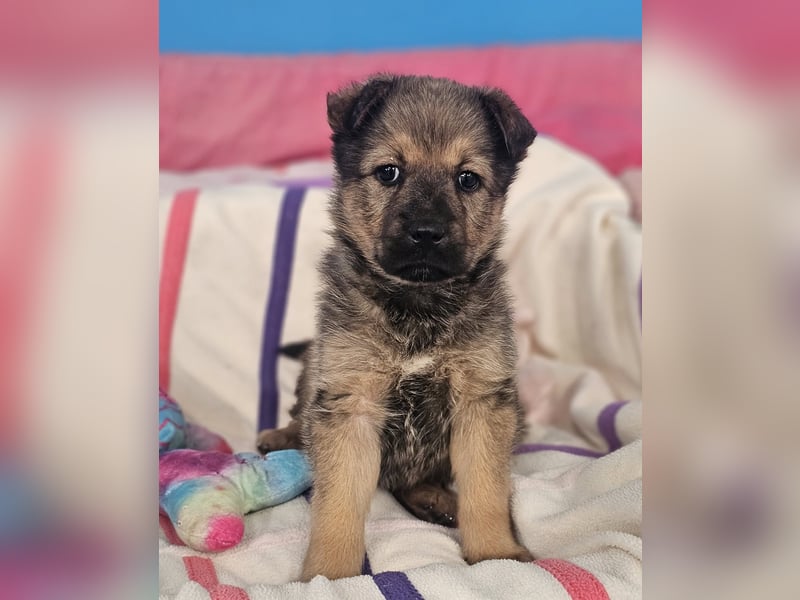 ARUBA ❤️ liebevolles Mädchen, Pflegefamilie Erkelenz