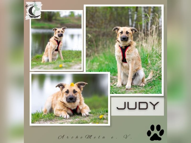 Judy - eine sanfte Seele auf der Suche nach Geborgenheit!