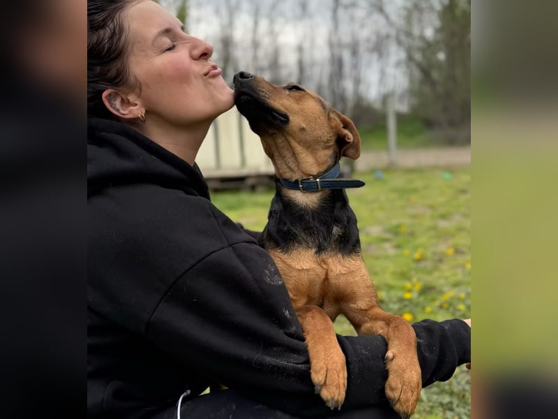 LEYLA - Sanfte Seele sucht Geborgenheit