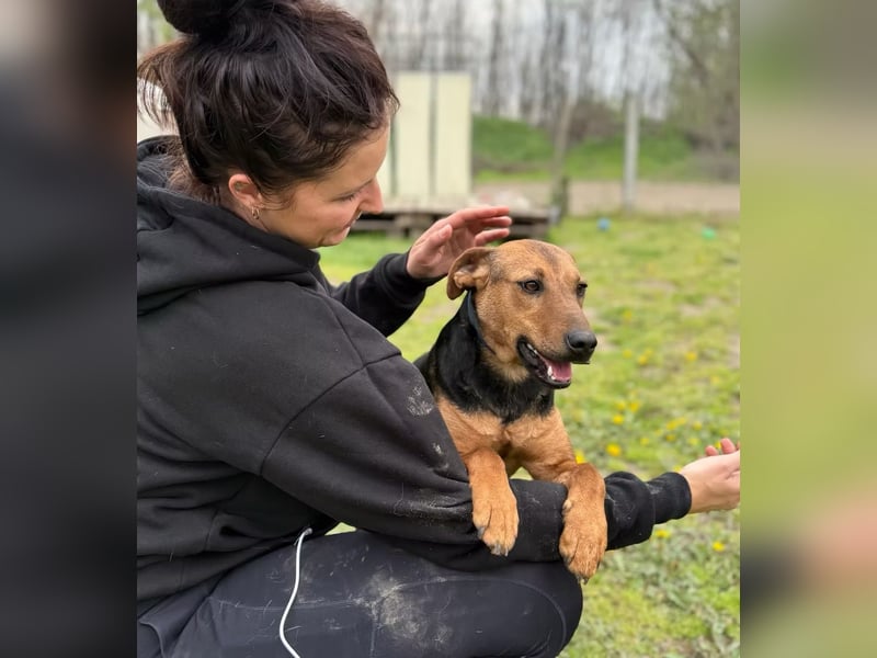 LEYLA - Sanfte Seele sucht Geborgenheit