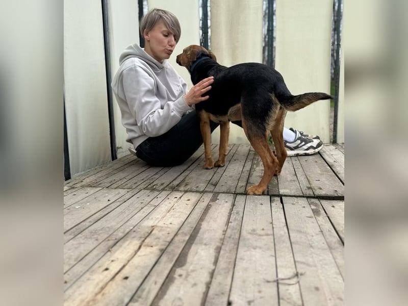 LEYLA - Sanfte Seele sucht Geborgenheit