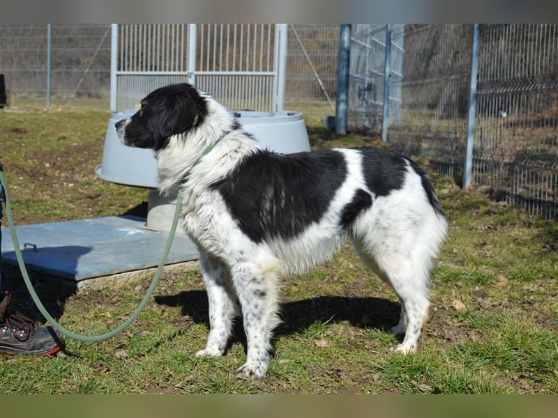 Gina - hat wirklich eine Chance verdient