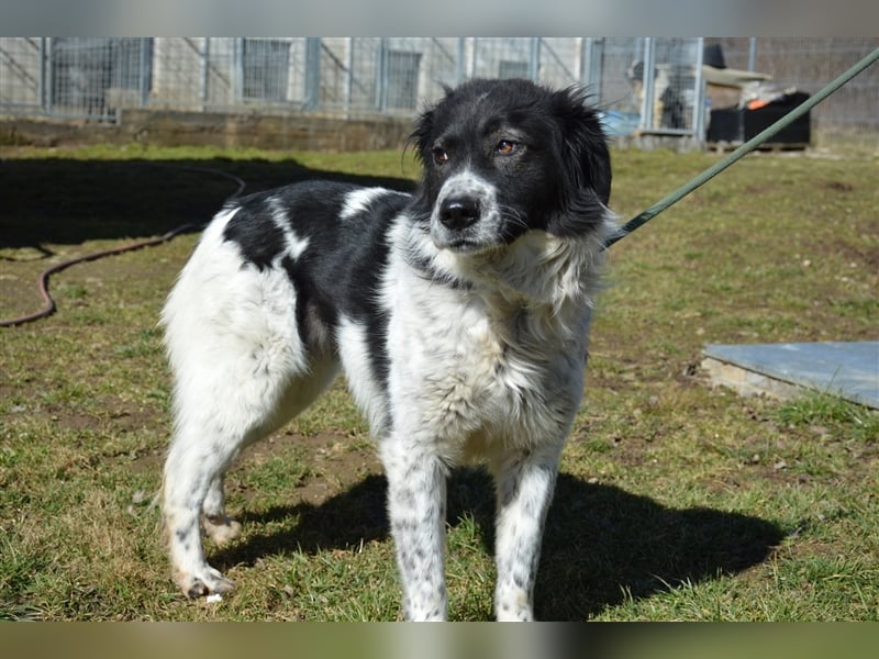Gina - hat wirklich eine Chance verdient