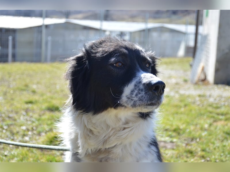 Gina - hat wirklich eine Chance verdient
