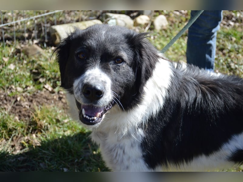 Gina - hat wirklich eine Chance verdient