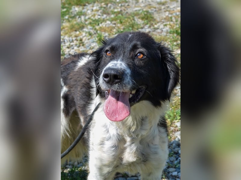 Gina - hat wirklich eine Chance verdient