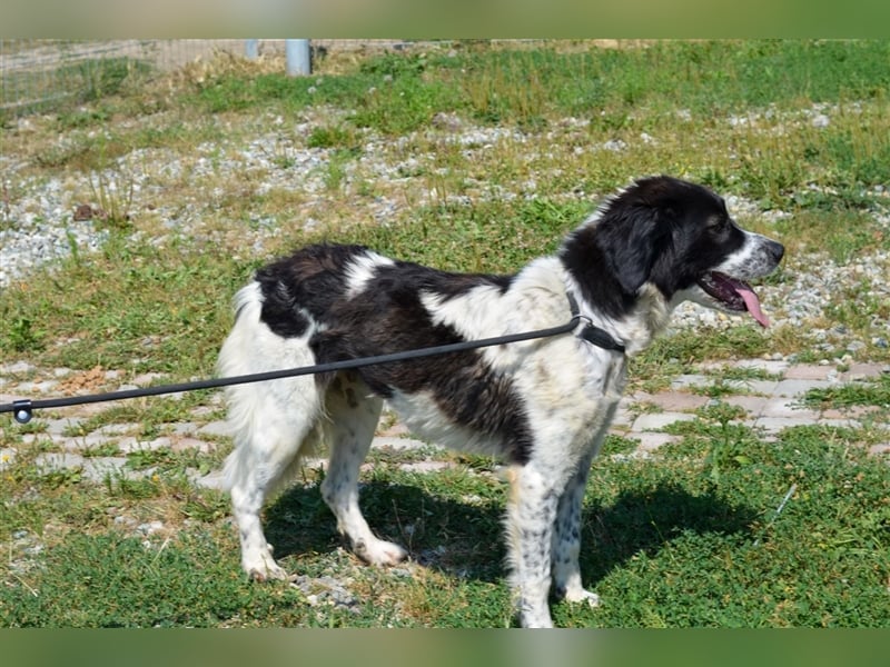 Gina - hat wirklich eine Chance verdient