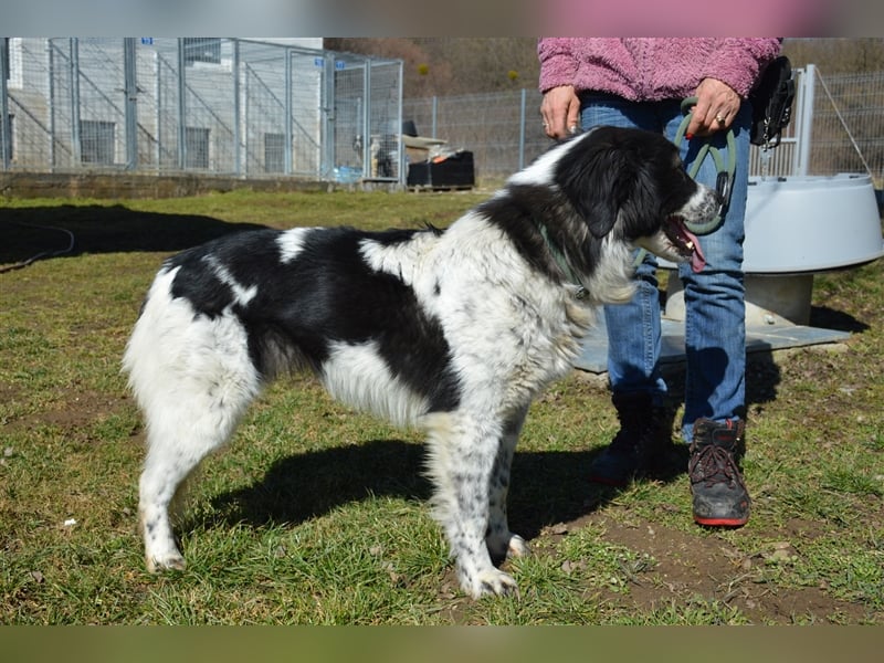 Gina - hat wirklich eine Chance verdient