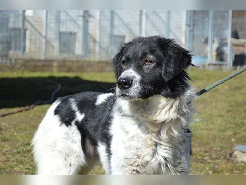 Gina - hat wirklich eine Chance verdient