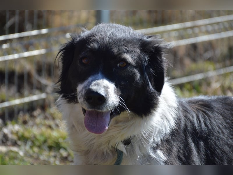 Gina - hat wirklich eine Chance verdient