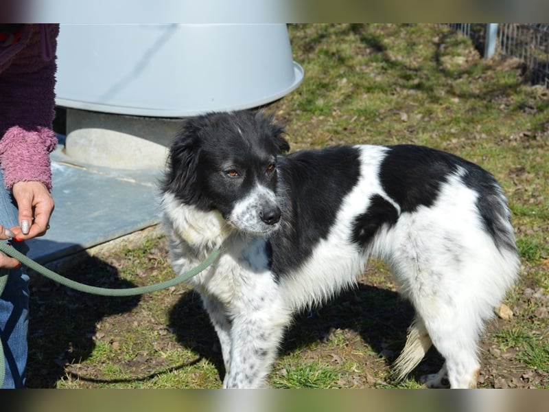 Gina - hat wirklich eine Chance verdient