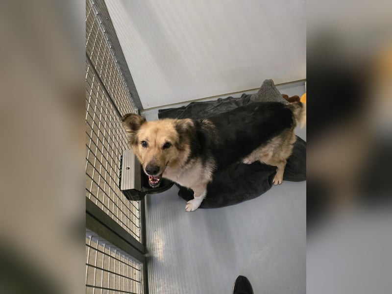 Seniorin Alicia will endlich ankommen